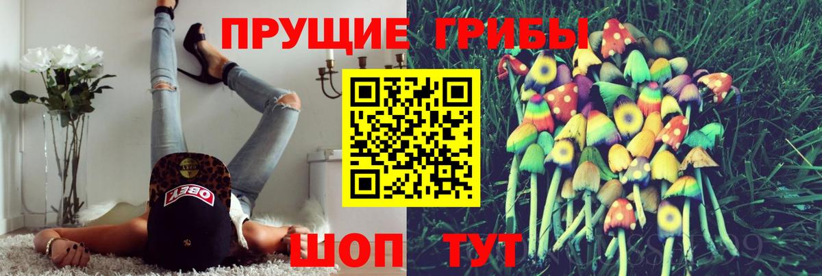 Псилоцибиновые грибы мицелий  Вход с VPN  Юрга  Галлюциногенные грибы GOLDEN TEACHER 