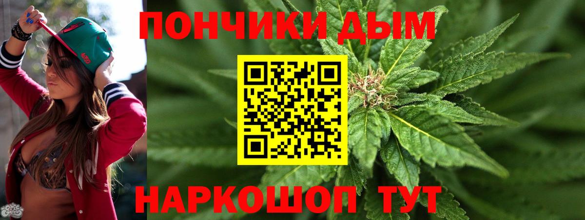 Шишки марихуана индика  Бошки Шишки планчик  Юрга  Каннабис конопля  Вход с VPN  Марихуана тримм 